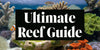 30 Gallon Saltwater Aquarium: The Ultimate 2026 Guide