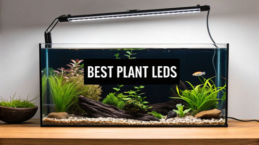 Best Aquarium Lighting for Plants: Top 12 LEDs for 2026