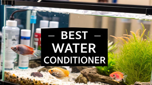 12 Best Aquarium Water Conditioner Options for a Thriving Tank in 2026