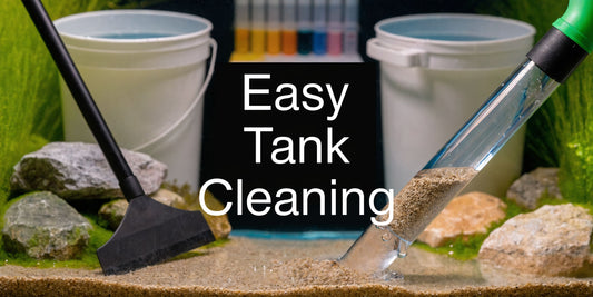 How to Clean a Fish Tank: Easy, Safe Methods