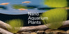 Nano Aquarium Plants: A Complete Beginner's Guide