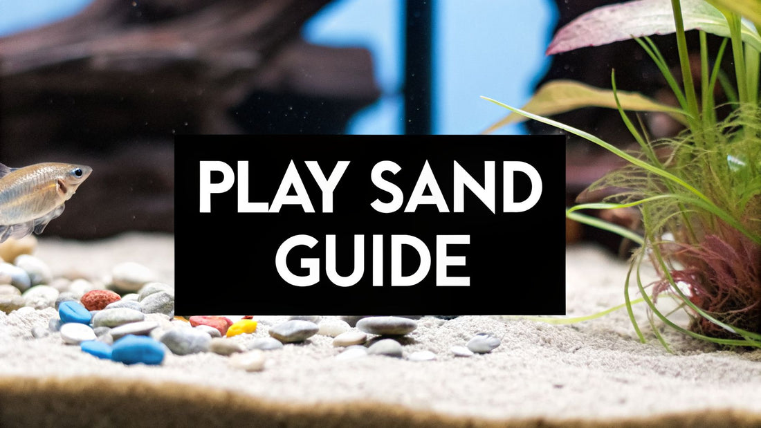A Complete Guide to Play Sand for Fish Tank Setups