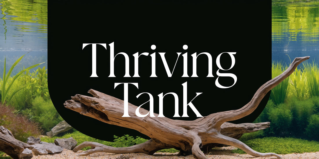 Setting Up a Planted Aquarium: Your First Thriving Tank