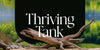 Setting Up a Planted Aquarium: Your First Thriving Tank