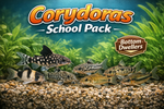 Tetra and Cory Pack