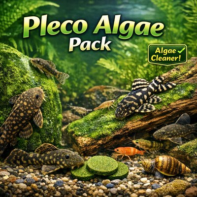 Pleco Lover Bundle
