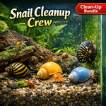 Snail Cleanup Crew Bundle
