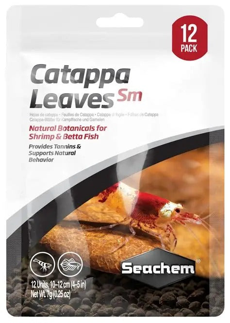 Catappa Leaves